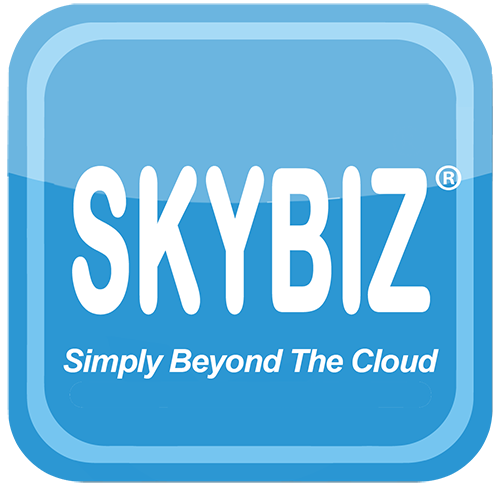 SkyBiz