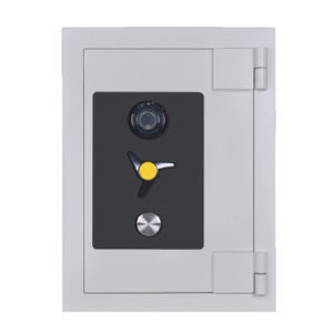 Falcon National Safe NS1