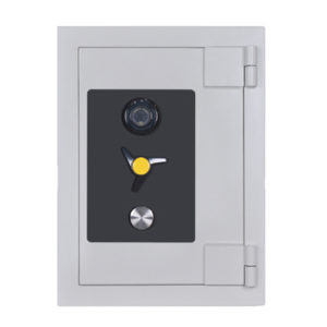 Falcon National Safe NS2