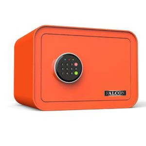 Falcon Cube Safe D25